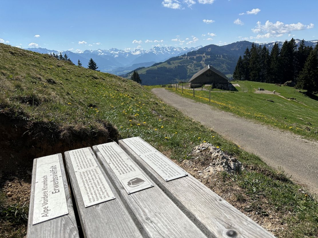 Themenweg Alpvielfalt