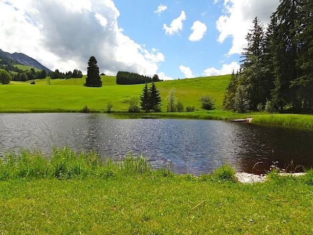 Moorsee