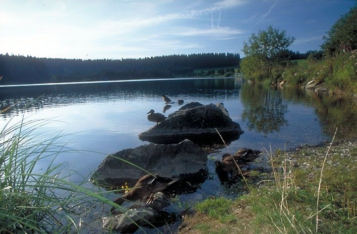 Eschacher Weiher