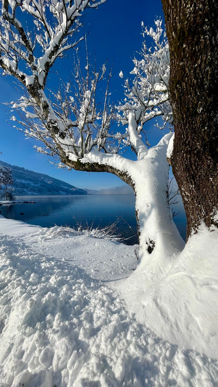 Winter am See