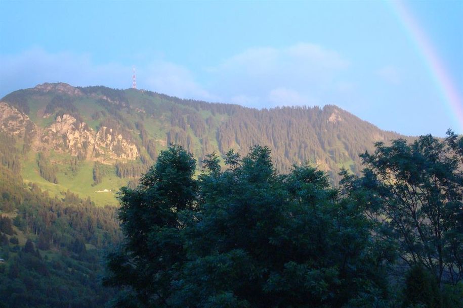 Ausblick