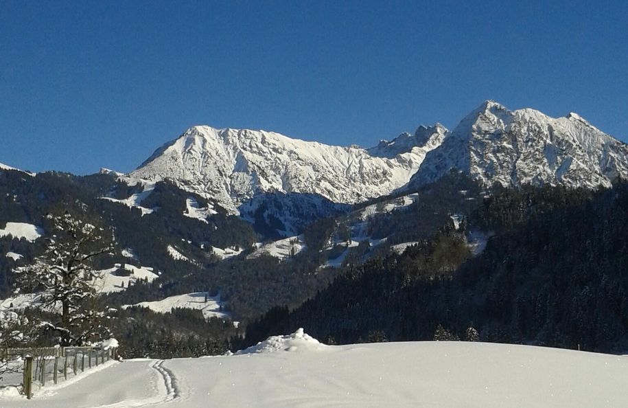 Winter Blick Nebelhorn