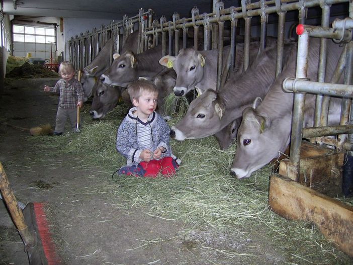 Bei uns im Stall - Landwirtschaft hautnah erleben