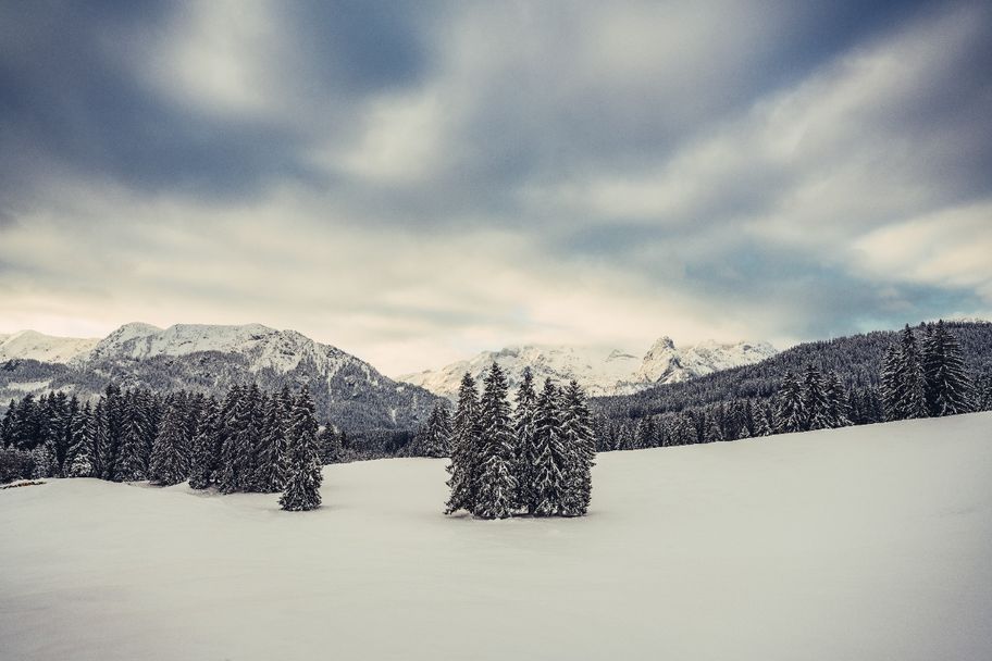 Winter-Bergwanderung auf den Buchenberg