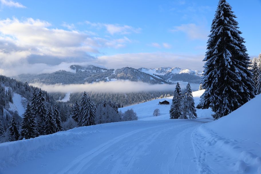 Oberhalb der Obersocheralpe - Naturpark Nagelfluhkette