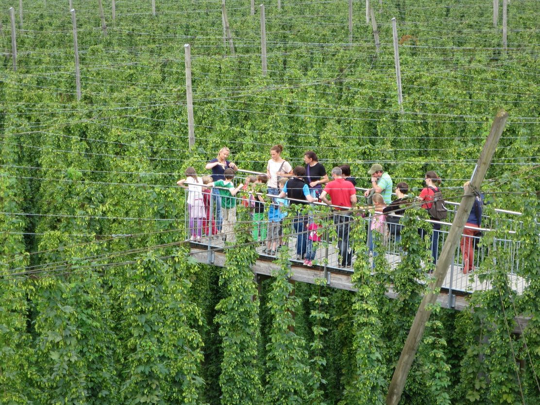 Der Hopfensteg in Tettnang