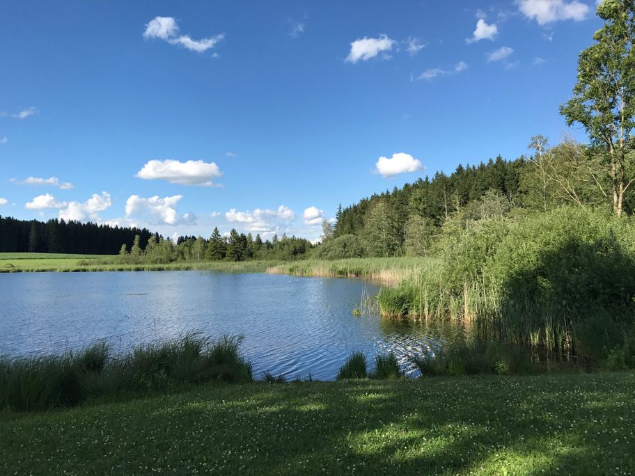 Kuhstallweiher