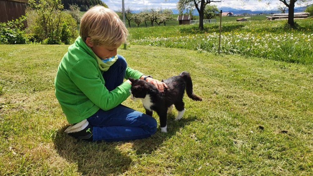 whatsappimage2021-05-21at12.43.3711