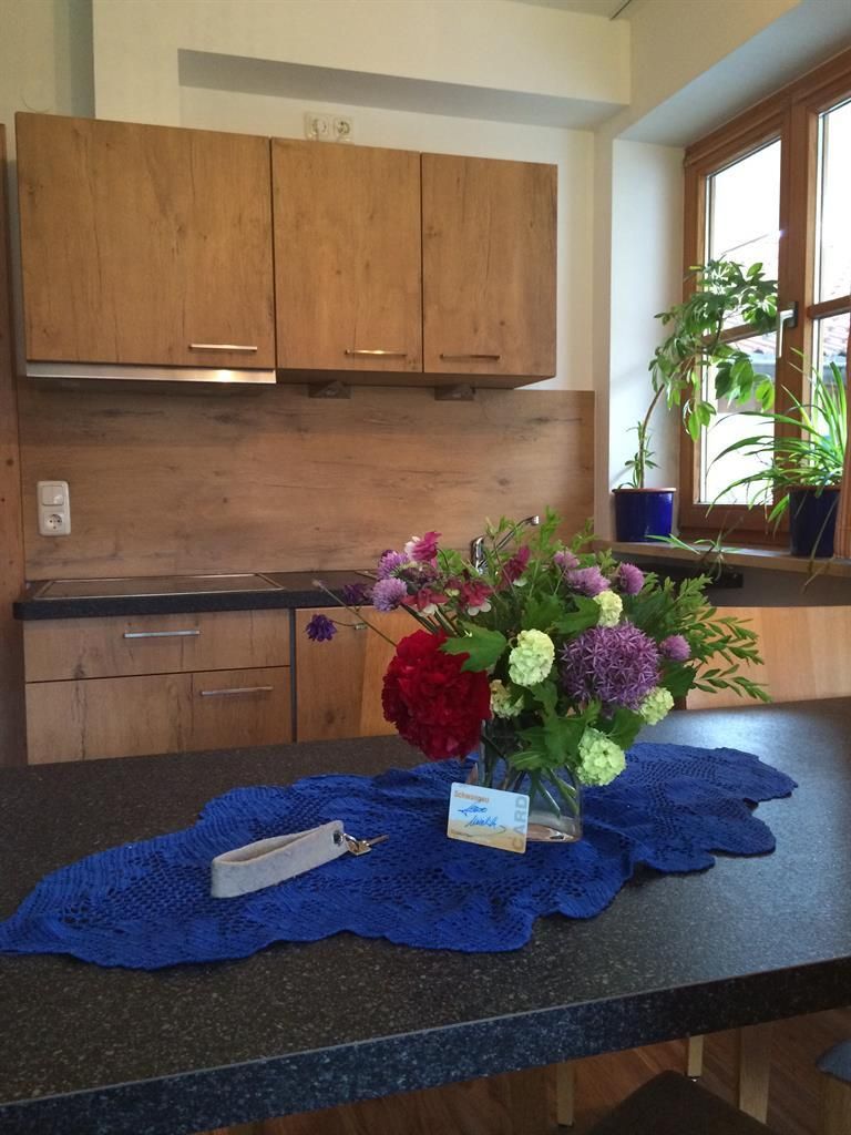 Moderne Küche mit Spülmaschine