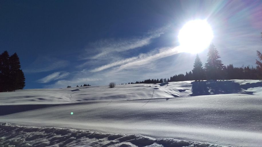 Im Gunzesrieder Tal