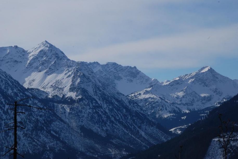 Blick aus Esszimmer