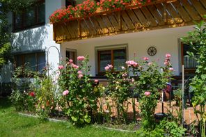 Blick auf die Terrasse