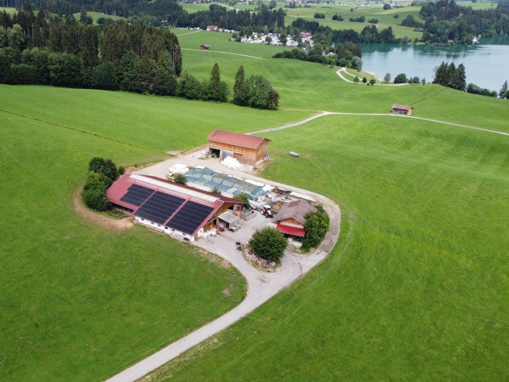 Luftaufnahme vom Stall