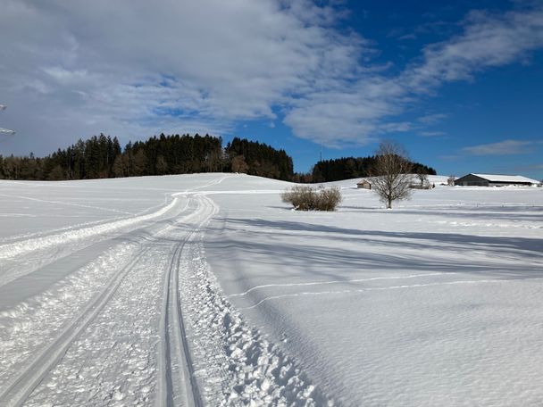 Rund um Berg