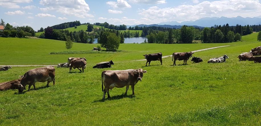 Landschaft01