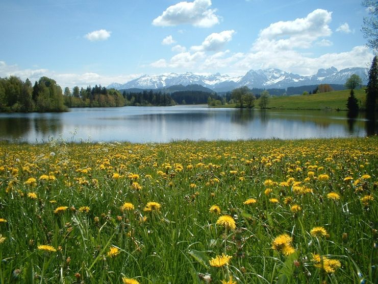 Der Schwaltenweiher bei Rückholz im Frühling