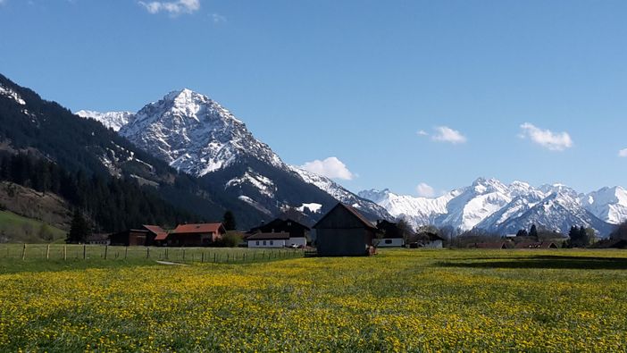 Hinang im Frühling