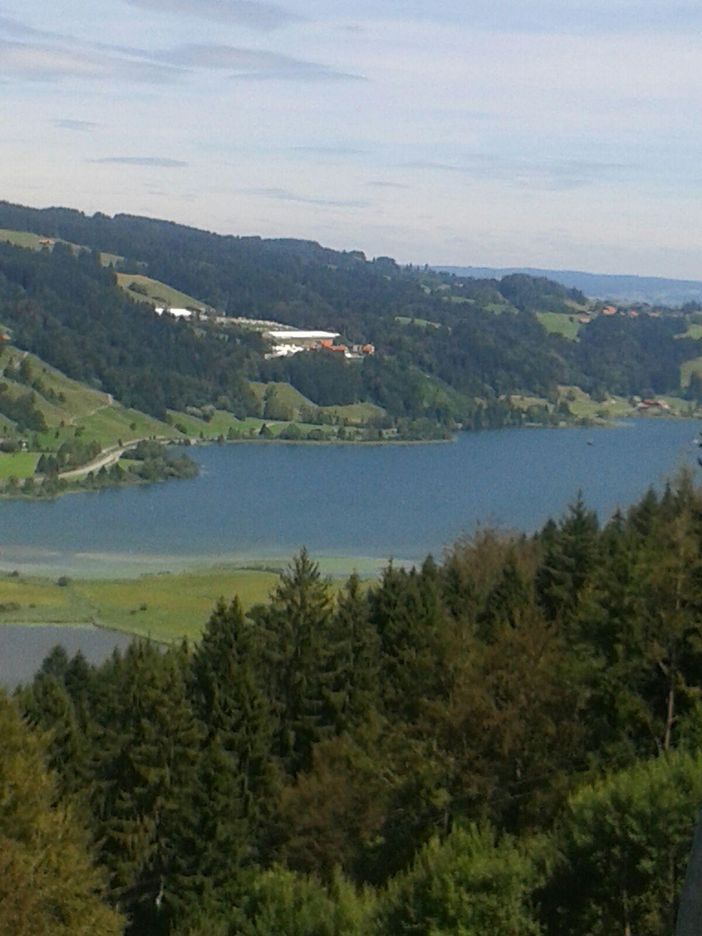 Blick auf den Alpsee