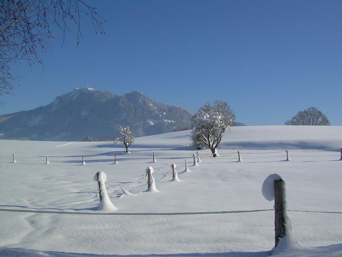 Winterlandschaft mit Grünten
