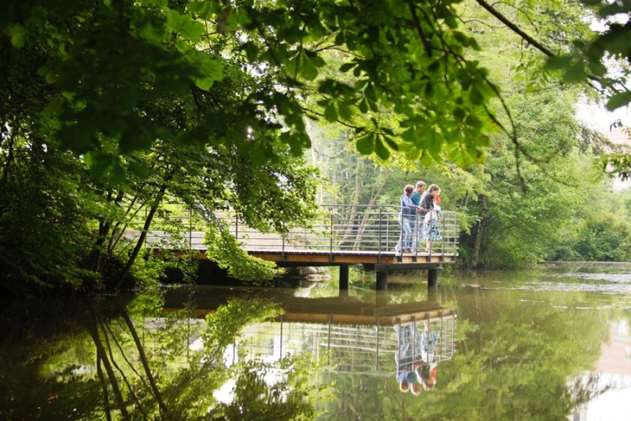 Steg am Ulrichsweiher