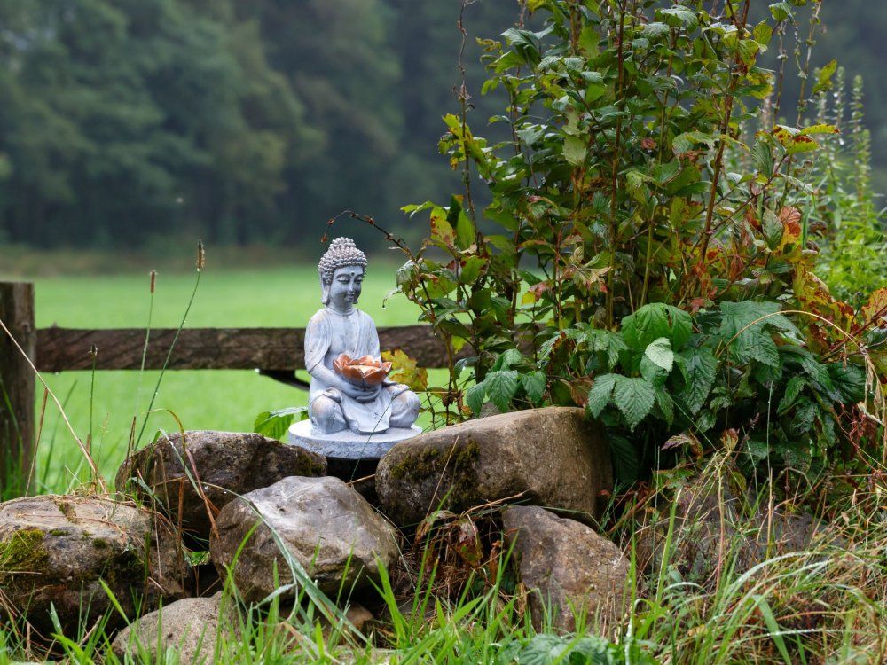 Stimmungsbild am Hof