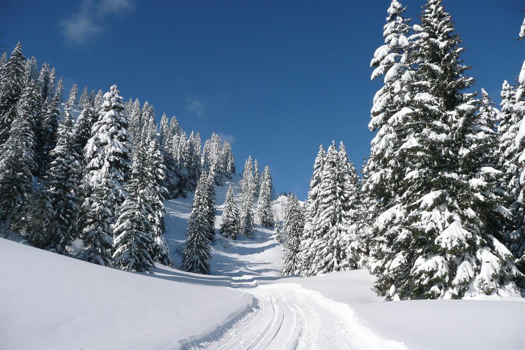 Winterbilder2009 005 2