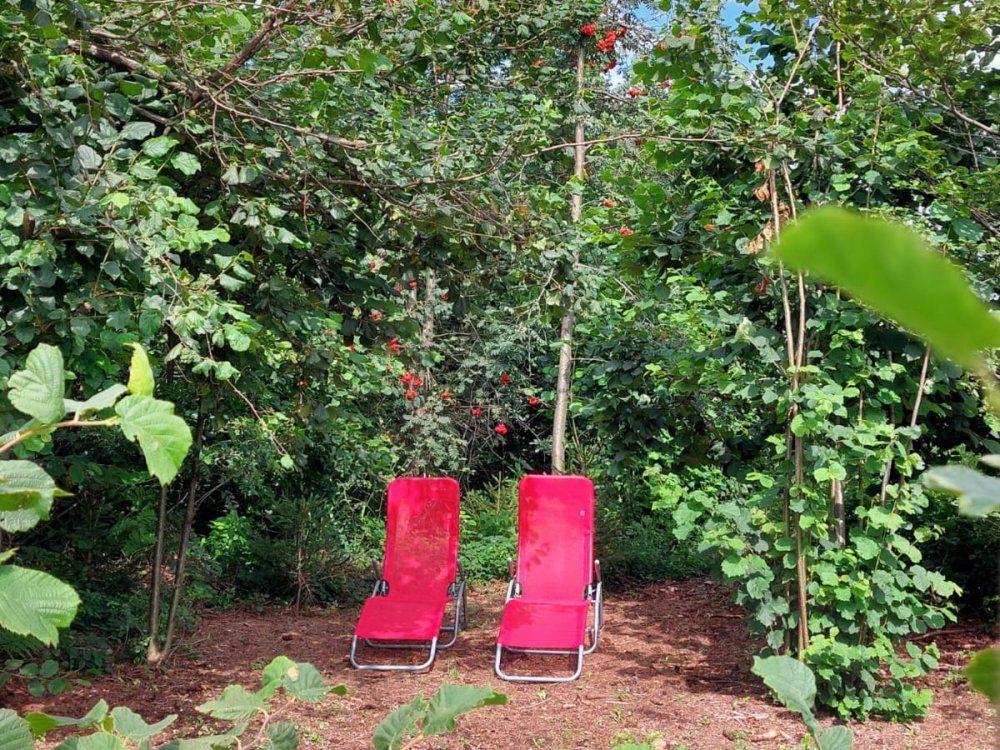 ein ruhiges Plätzchen