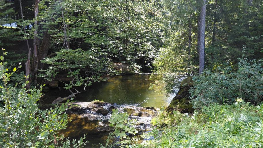 Eibelebach oberhalb der Eibele-Wasserfälle