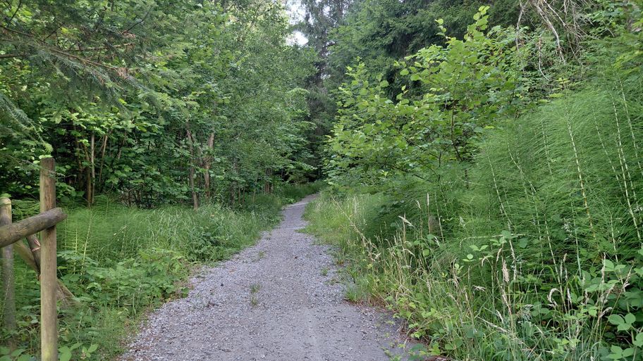 Alter Kirchweg