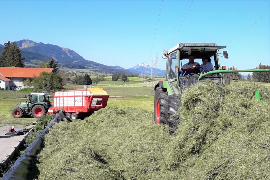 bei der Ernte