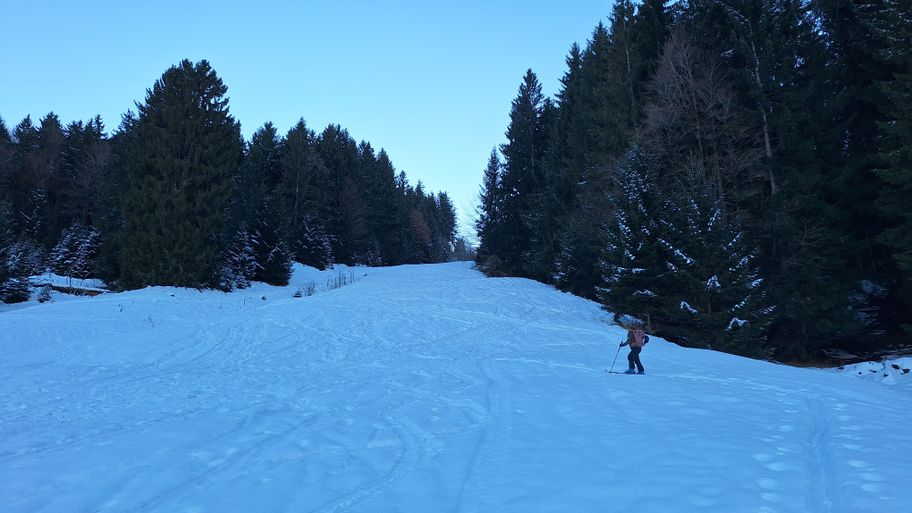 Erster Anstieg - Naturpark Nagelfluhkette