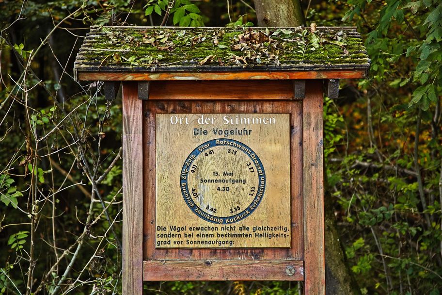 Ort der Stimmen