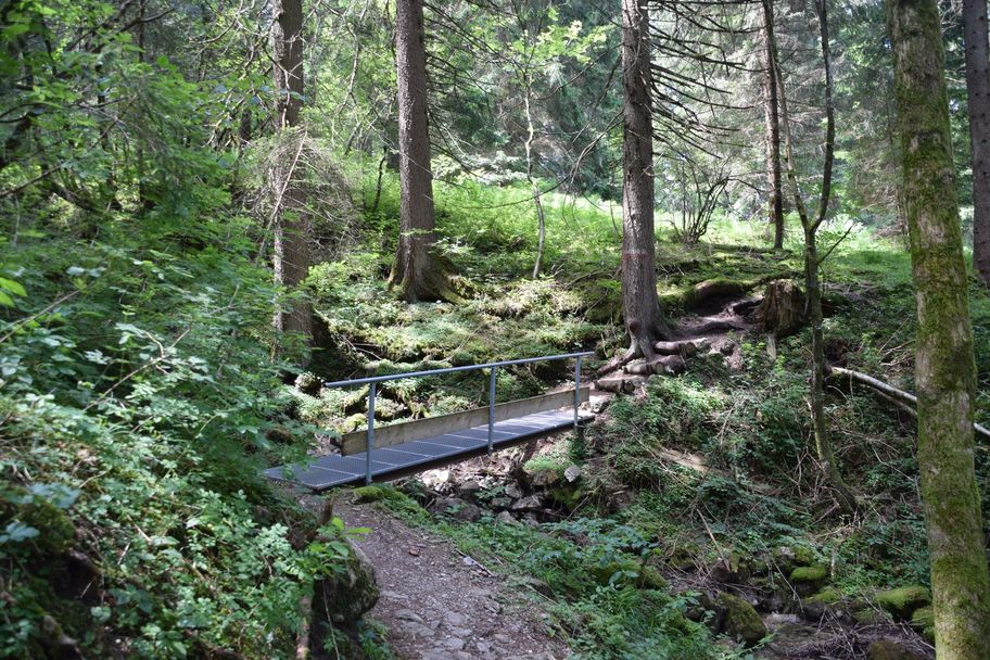 Brücke auf dem Kappeler Höhenweg