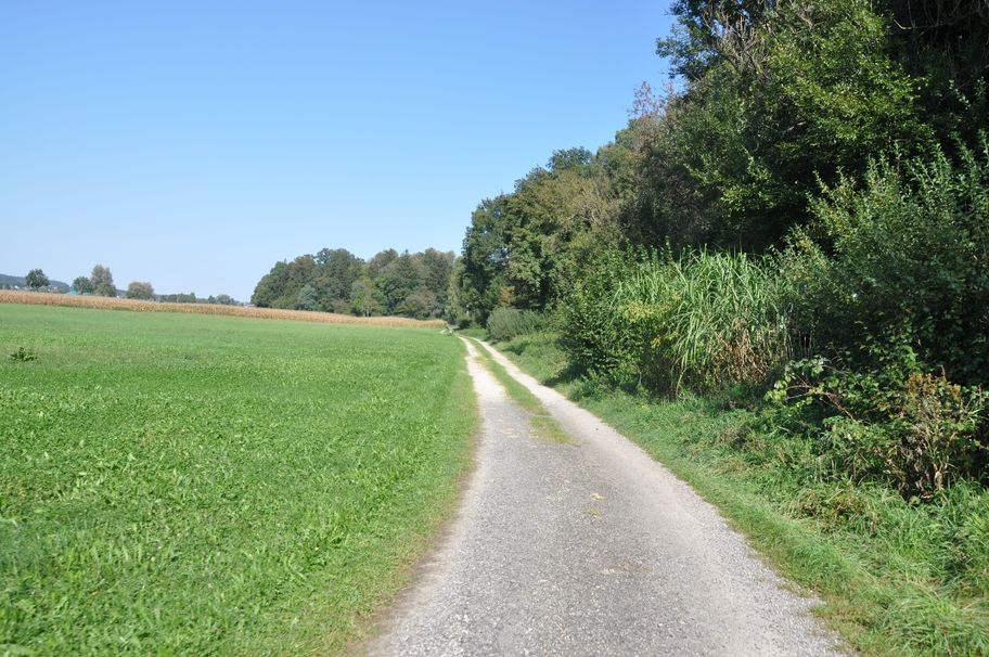 Ein Weg für Wanderer und Radler