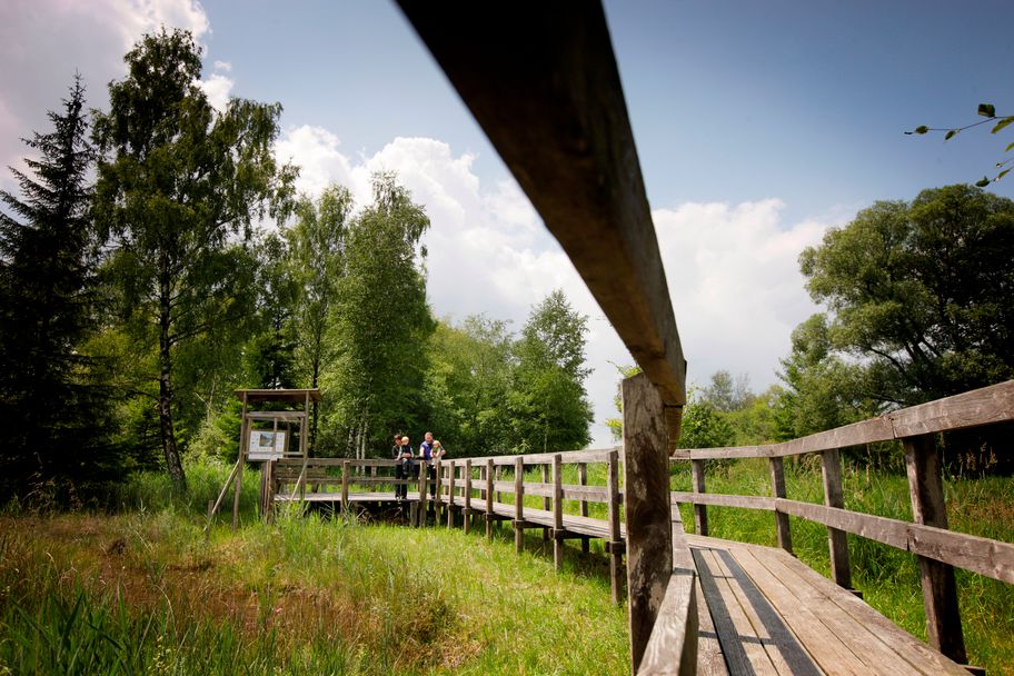 Unterallgäuer Wanderherbst