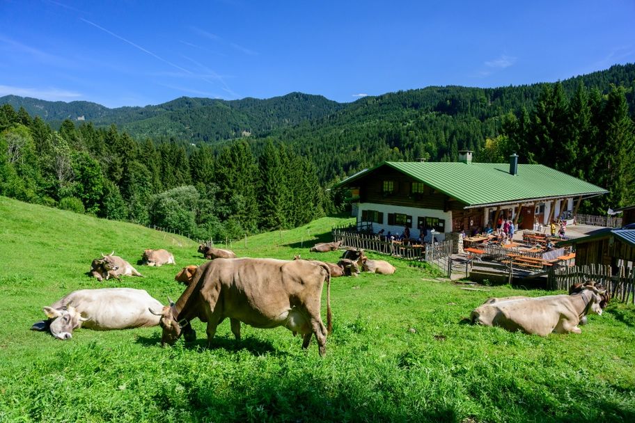 Rund um den Grünten