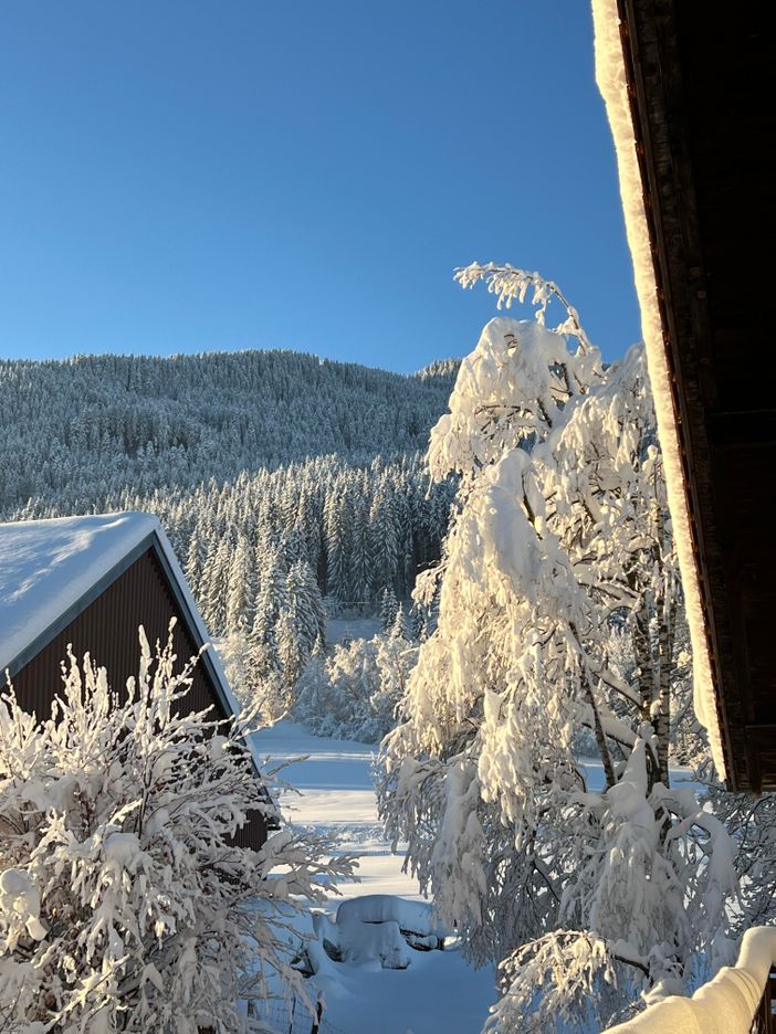 "Beim Patzelt" Ferienhaus in Nesselwang