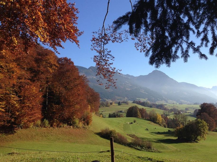 Goldener Oktober