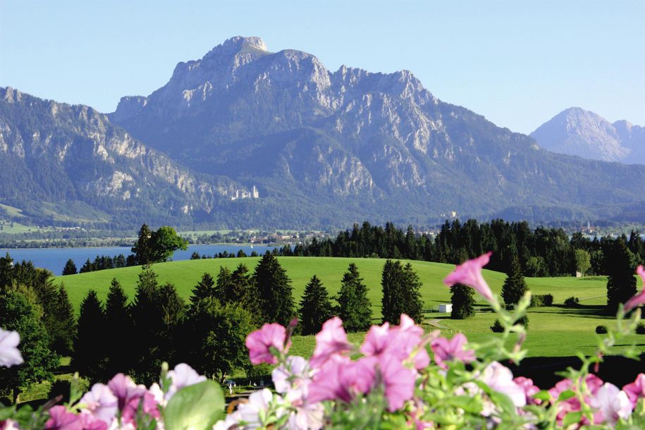 Aussicht vom Balkon