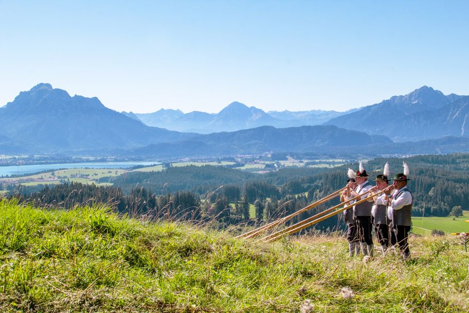 Alphornbläser Buch Sommer 2020 - Amanda Linder