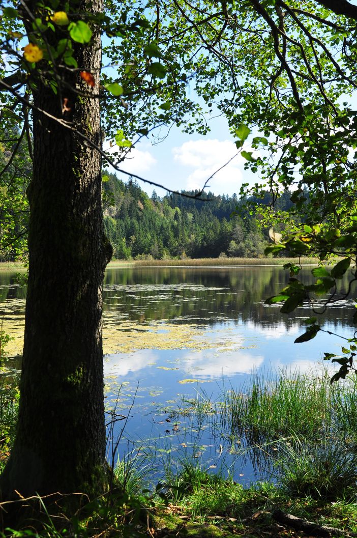 DSC_1205 (2)
