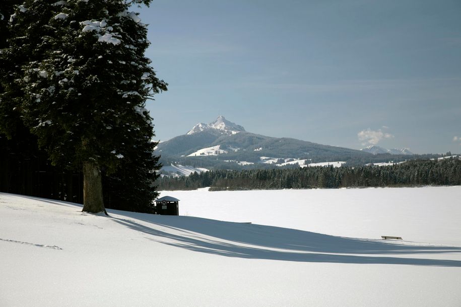Grüntensee im Schnee