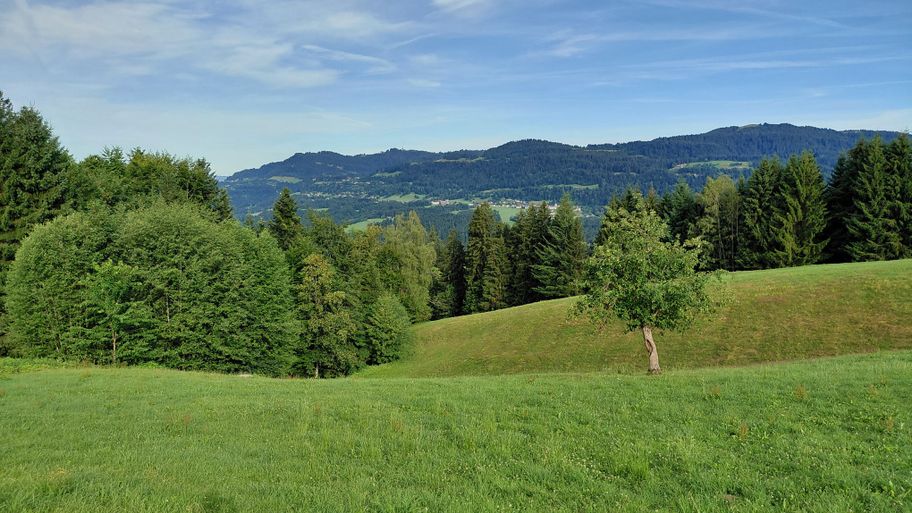 Blick Richtung Langen bei Bregenz