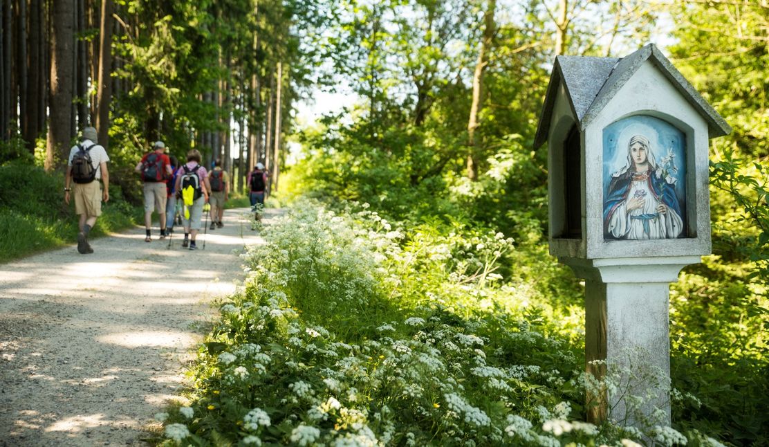 Wandern auf dem Crescentia Pilgerweg