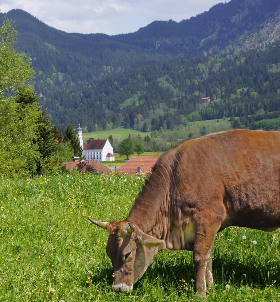 Walk in the Kurpark Schwangau