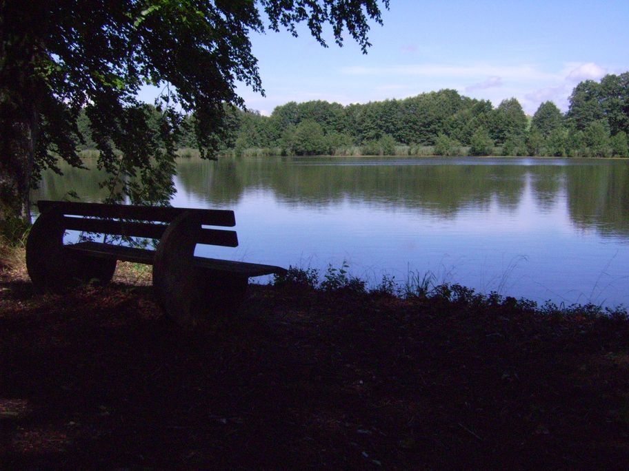 Blick auf den Langwuhrweiher
