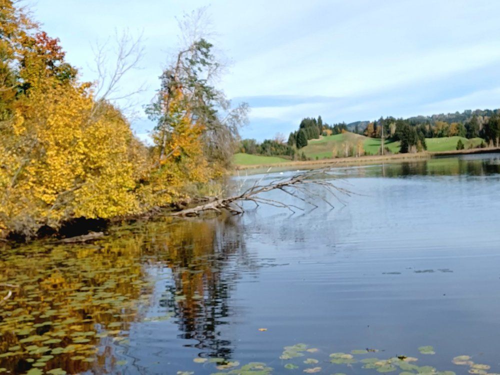 Widdumer Weiher20231029_132616