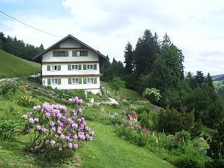 Gartenansicht Haus Brandl