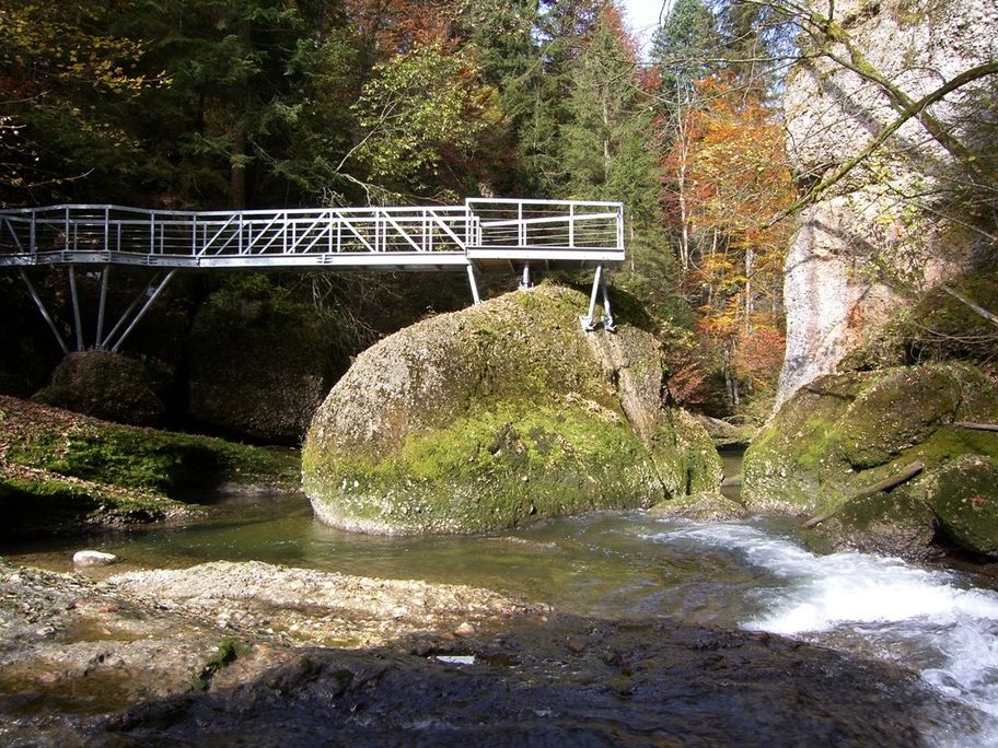 Steg am Zwinger