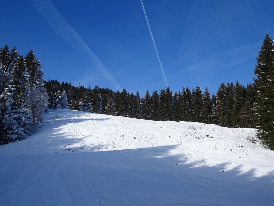 Durch das Bolgental auf den Wannenkopf